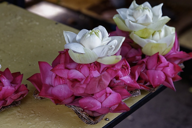 Kandy-Temple de la dent-005